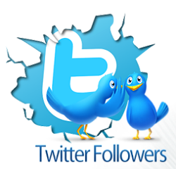 Get Twitter Followers