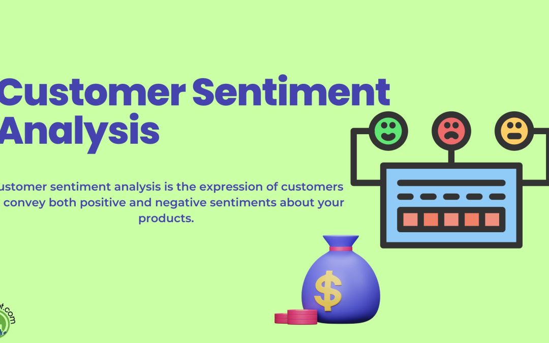 customer sentiment analysis
