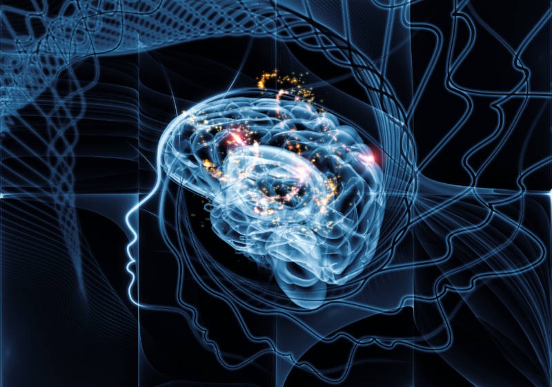 AI Neural Network Brain AI Neural Network Brain
