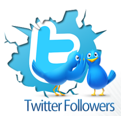 Get Twitter Followers